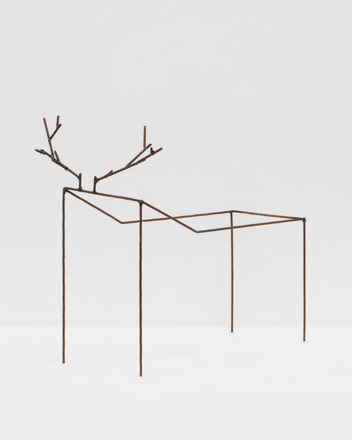 Cervid� (parall�logramme), Didier Marcel