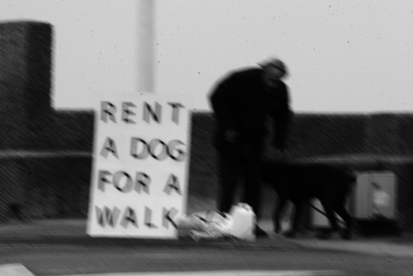 Rent a dog (3), Elisa Pône