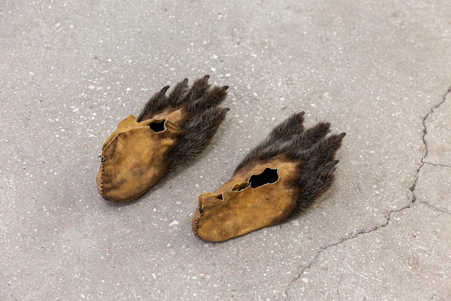 Pattes d'ours, S�bastien  Bonin 