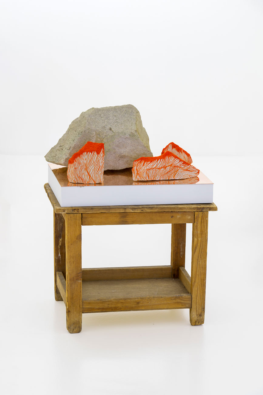 Layer cake C, Sophie Whettnall