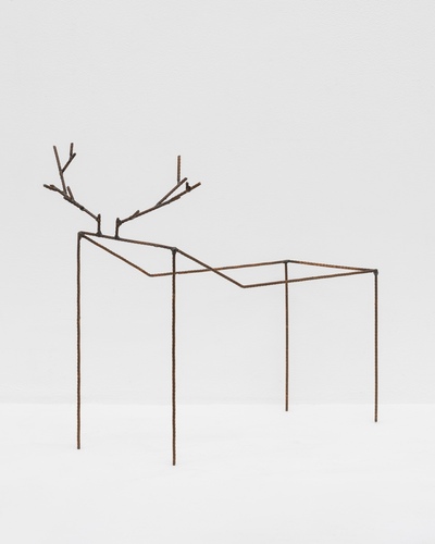 Cervid� (parall�logramme), Didier Marcel