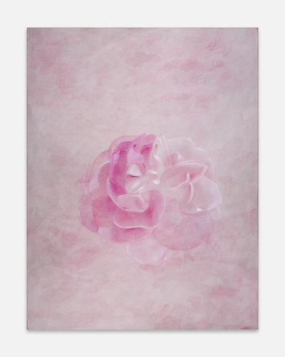 � Rose, oh pure contradiction �, Nino Kapanadze