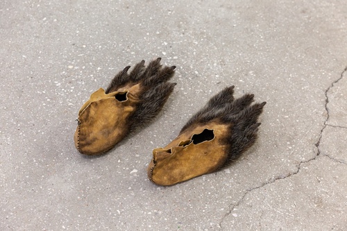 Pattes d'ours, S�bastien  Bonin 
