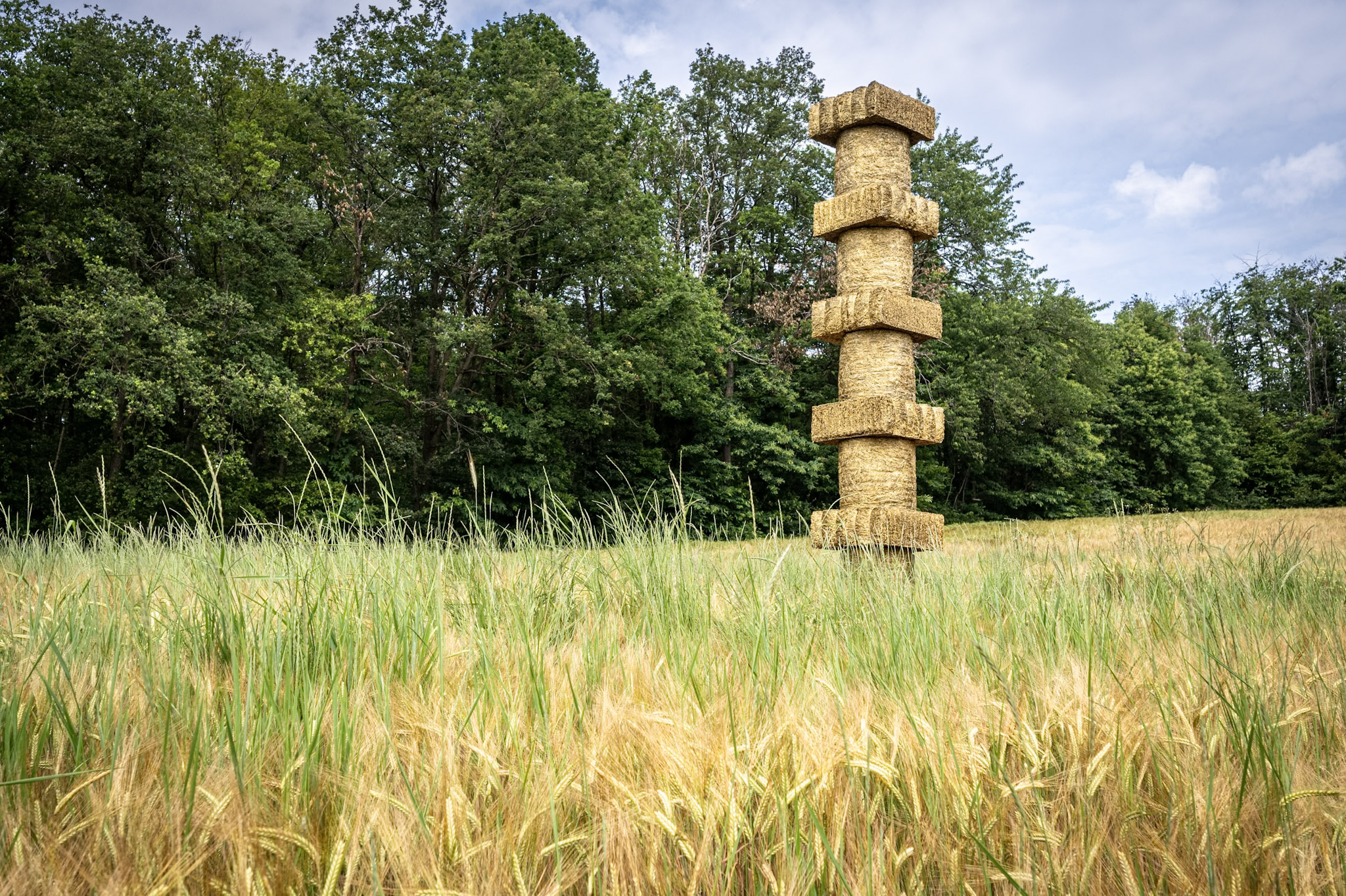 Pays de L'Arbresle, France, 2025