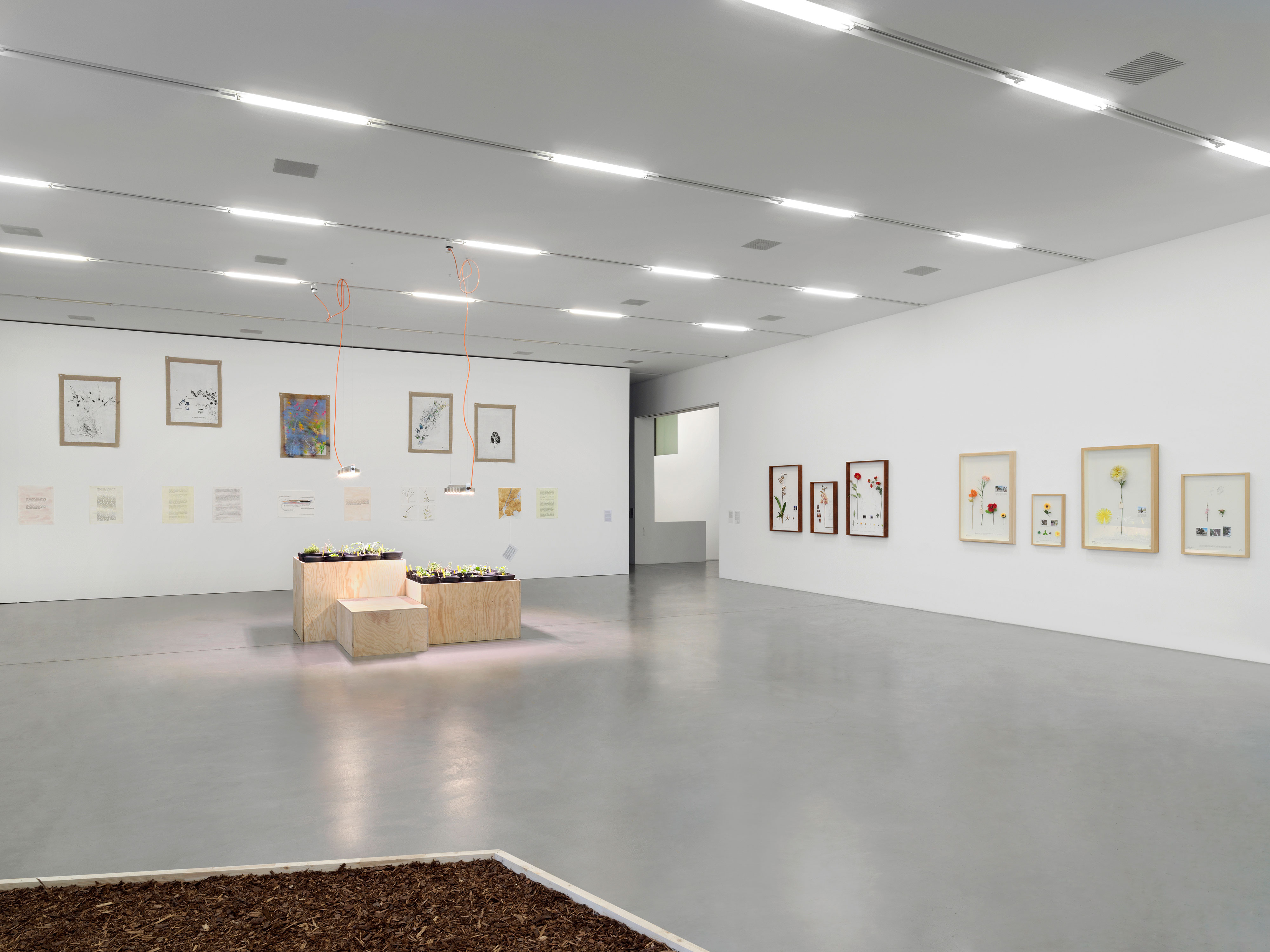 Migros Museum, Zürich, 2020