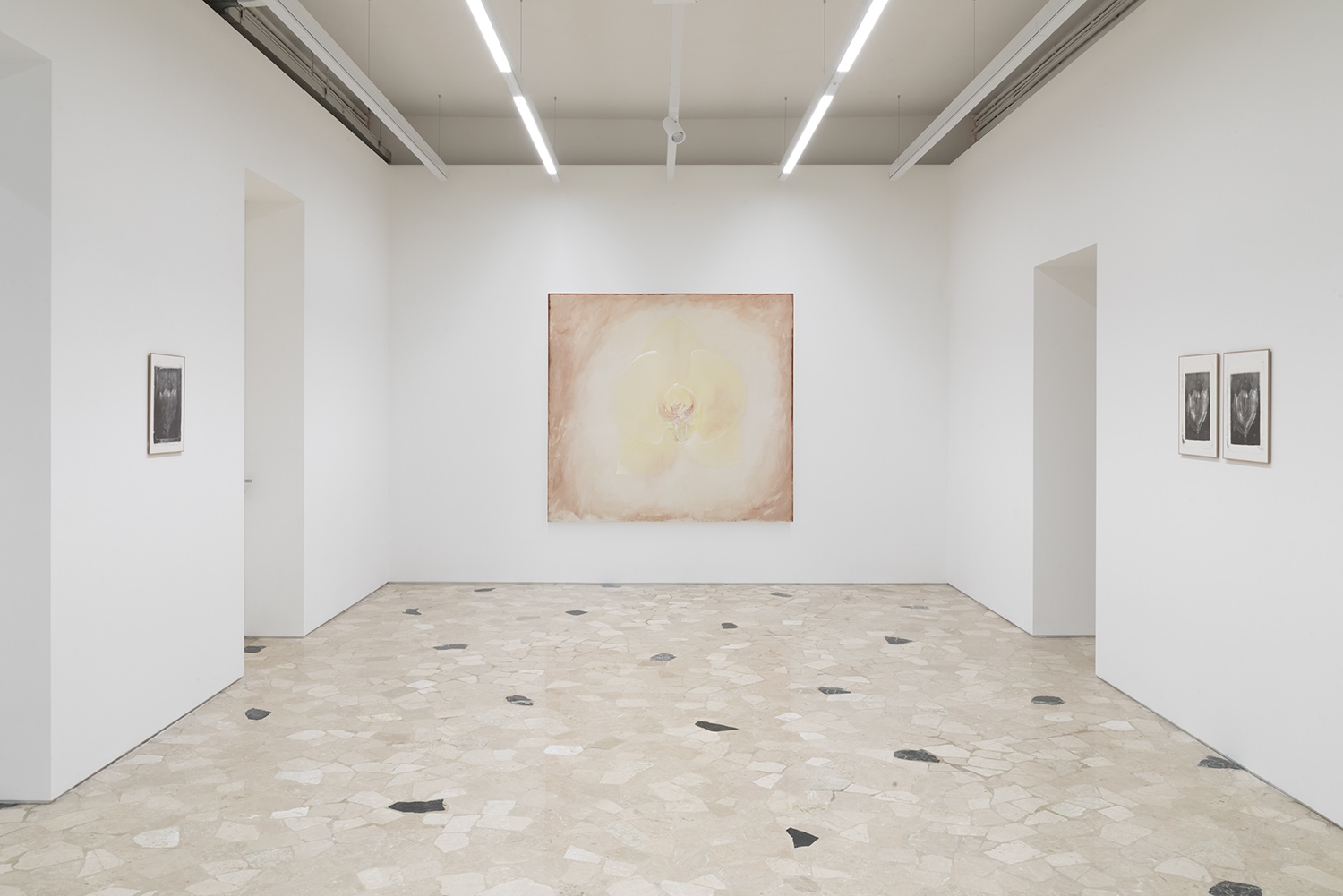 Fondazione Bonollo Arte Contemporanea, Thiene Italy, 2025 
