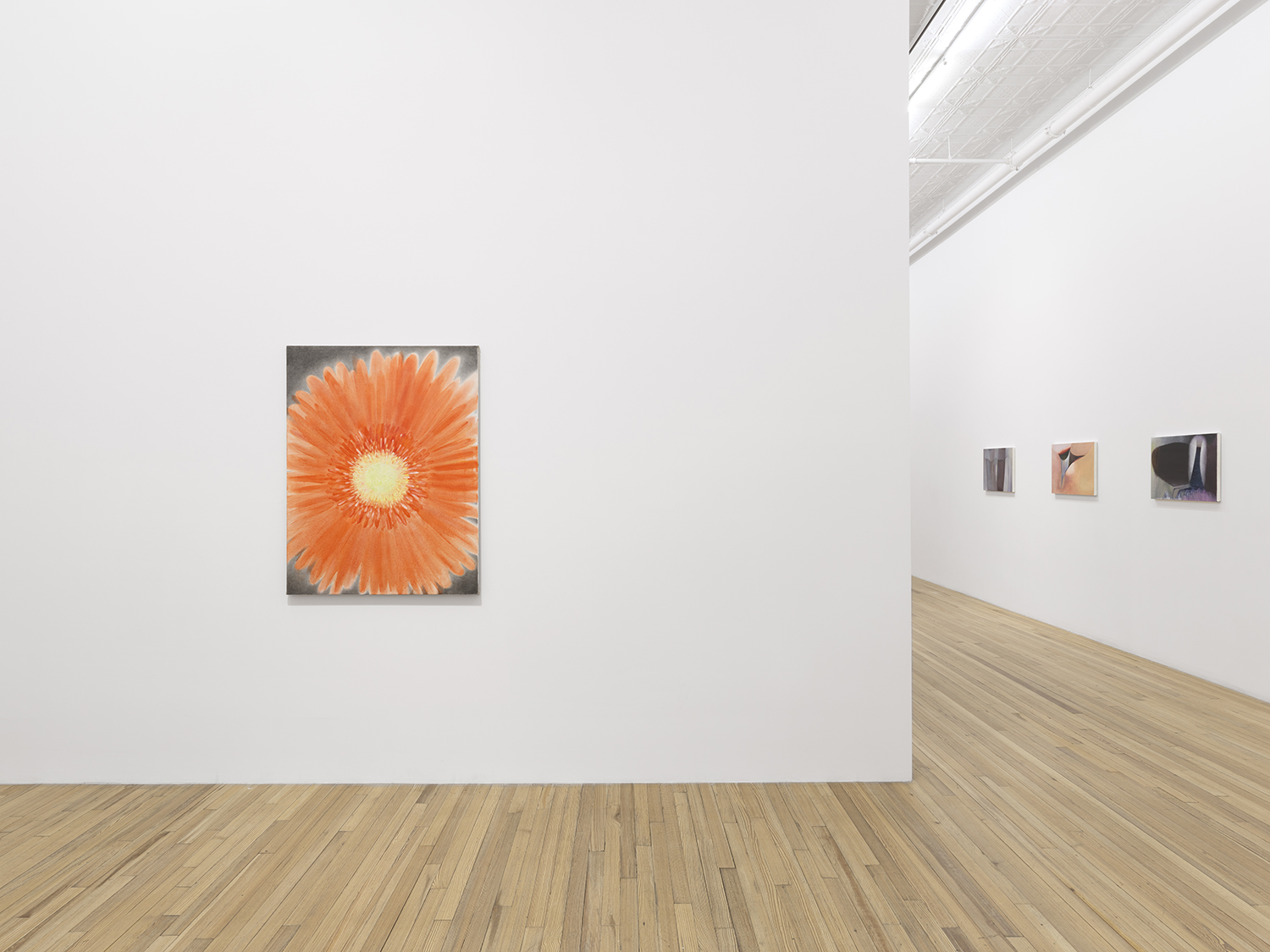 Andrew Kreps Gallery, New York, USA, 2026