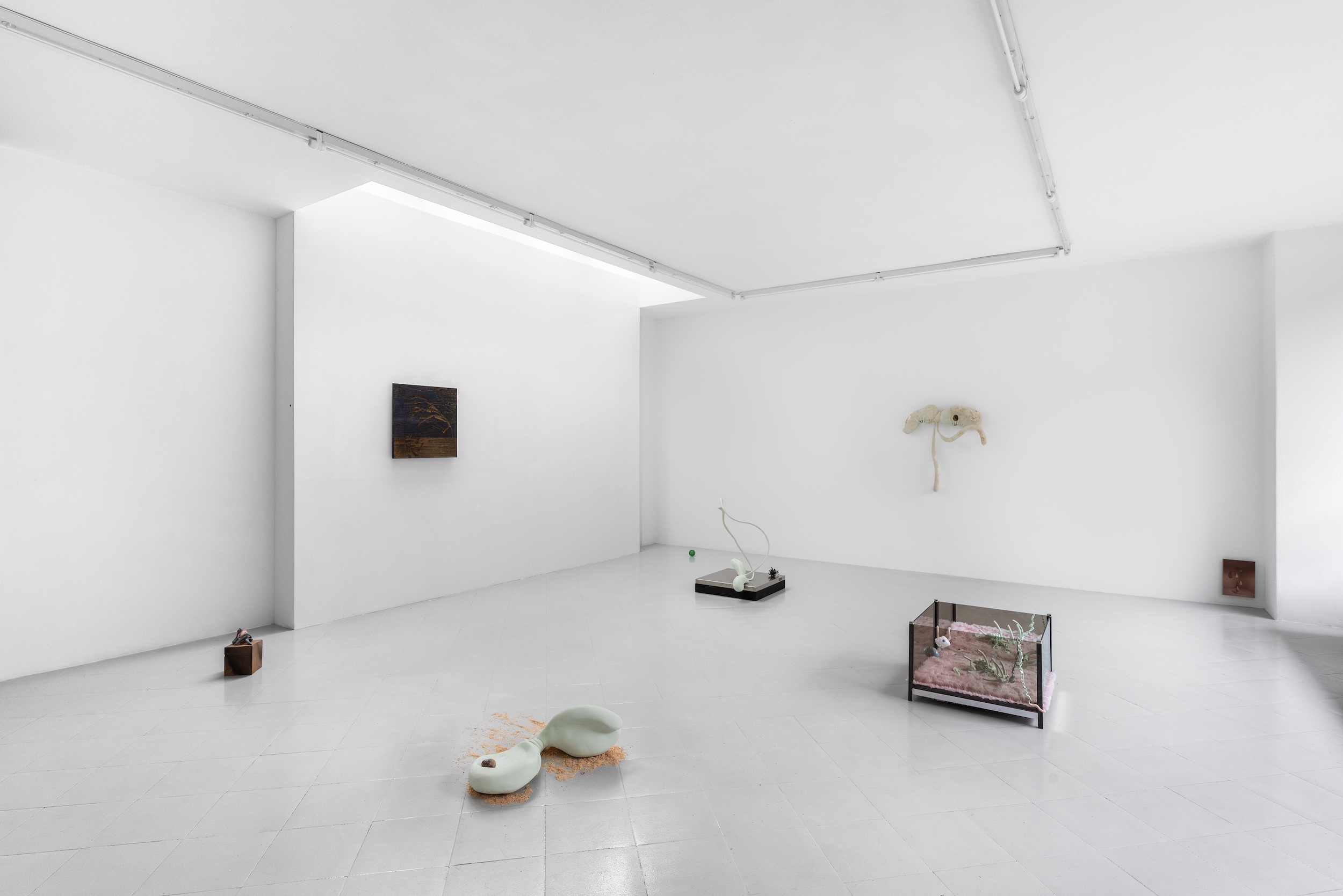 Cabinet & Studiolo, Milano, Italy, 2023
