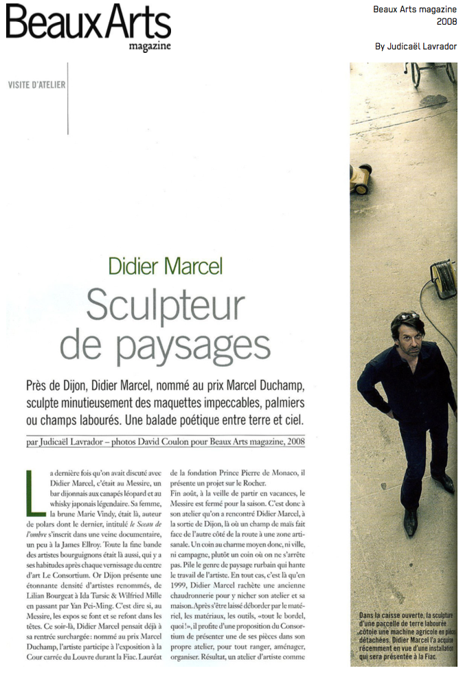 Didier Marcel, Sculpteur de paysages - Beaux-Arts magazine