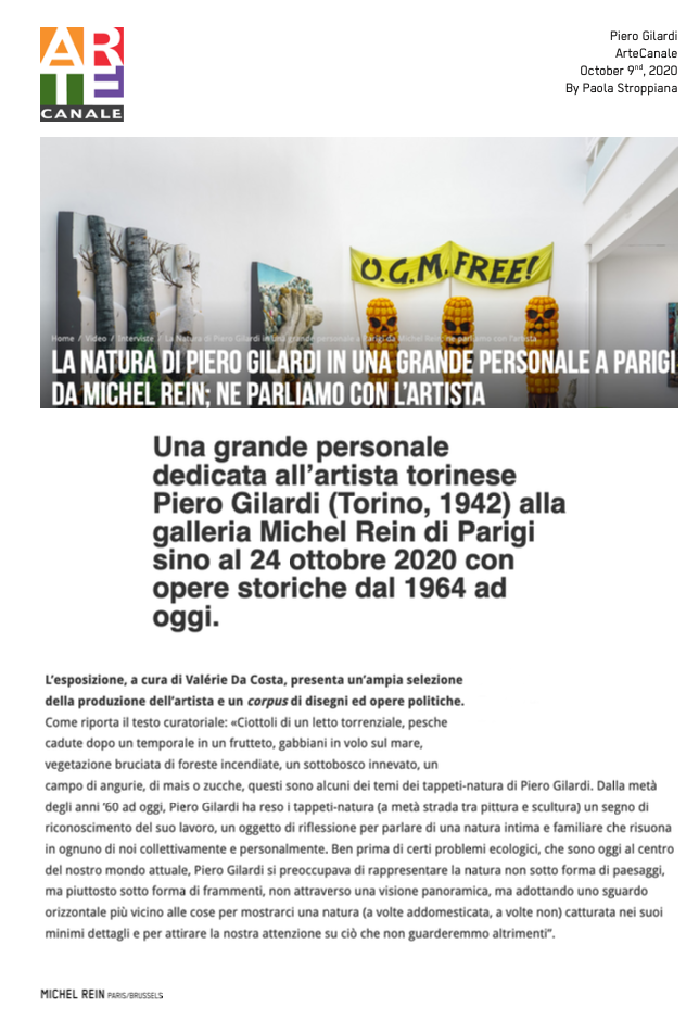 Piero Gilardi - Canale Arte